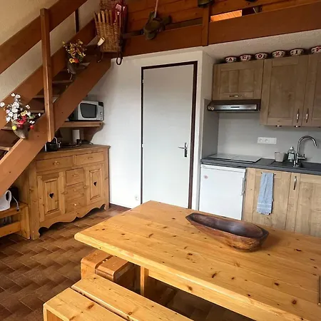 Chatel: T2 Cosy 4 Pers Avec Balcon - Fr-1-198-268 Daire *