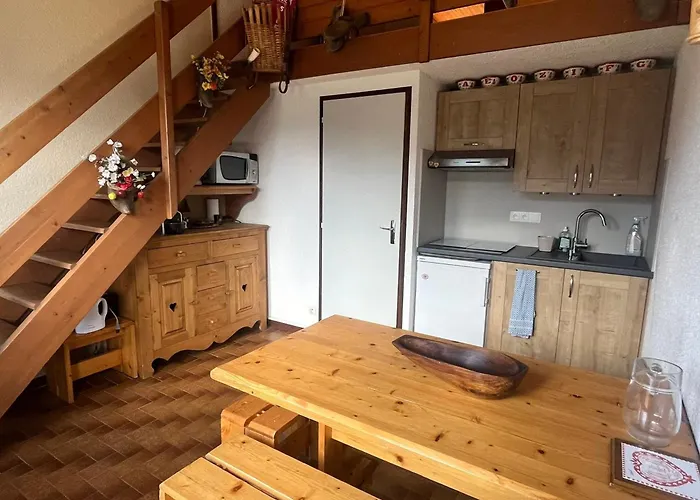 Chatel: T2 Cosy 4 Pers Avec Balcon - Fr-1-198-268 Lejlighed *